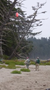 The Pink Buoy above the Beach