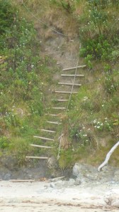 The ladder to Starbuck